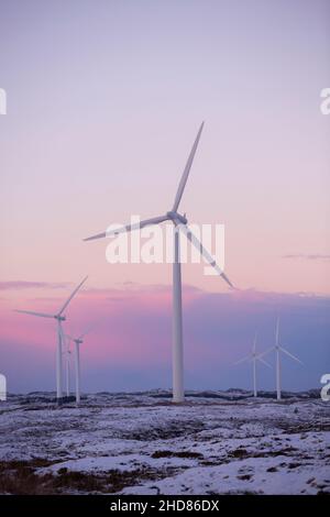 Windmühlen im Sonnenuntergang, Smøla, Norwegen Stockfoto