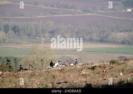 Jedburgh, Großbritannien. 04th Januar 2022. Berittene Anhänger der Jedforest Hunt zusammen mit Jagdhunden in Feldern und bewaldeten Ackerland in Lanton bei Jedburgh in den Scottish Borders am Dienstag, den 04. Januar 2022. Seit dem Wild Mammals Protection (Scotland) Act (2002). Die anhaltenden Bedenken über die Wirksamkeit der Gesetzgebung und über die Verwendung von Hundepaketen zur Füchsflutung veranlassten die schottische Regierung, Lord Bonomy zu ernennen, um eine Überprüfung der Funktionsweise der Gesetzgebung vorzunehmen. Der Bericht wurde im November 2016 veröffentlicht. ( Kredit: Rob Gray/Alamy Live News Stockfoto