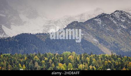 Erstaunlicher Herbsttag im Hochland. Bäume am Rande des Hügels in Herbstfarben. Reise nach dem Nordkaukasus, Archyz, Russland, der Weg zu den Dukkinski Seen. Stockfoto