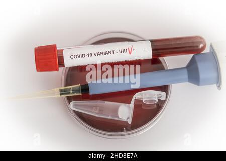 Blutproben der neuen Variante IHU, covid19, Coronavirus. Selektive Annäherung an das Probenröhrchen. Stockfoto