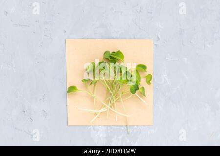 Flache Lay Draufsicht auf frische Rucola Microgreens auf grauem Beton Hintergrund. Gesunder Lebensstil. Wachsende Sprossen. Grünes Wohnkonzept. Bio-Lebensmittel. Stockfoto