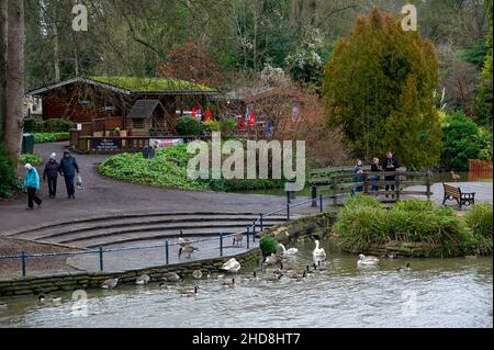 Maidenhead, Anford, Großbritannien. 3rd. Januar 2022. Die Menschen waren heute wieder draußen und genossen das milde Wetter auf Boulter's Lock Island neben der Themse in Maidenhead. Die Temperaturen werden ab morgen sinken.Quelle: Maureen McLean/Alamy Stockfoto