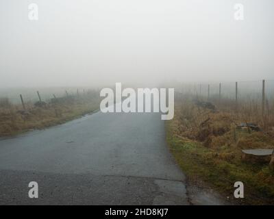 Einsamer Nebel bedeckte Landstraße keinen Verkehr Stockfoto