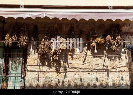 Hängende Trauben von essbaren Kräutern im Freien in der Straße der Altstadt von Antalya, Türkei. Stockfoto