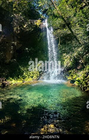 Einladender Pool im Hidden Waterfall (Cataratas Escondido), Nationalpark Rincon de La Vieja, Guanacaste, Costa Rica Stockfoto