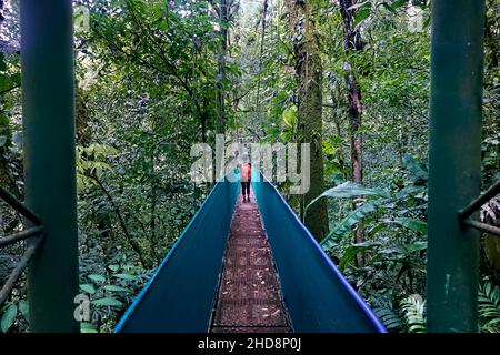 Hängebrücke über dem Nebelwald, Guanacaste, Costa Rica Stockfoto