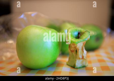 Ein fauler Apfelkern neben frischen Äpfeln Stockfoto