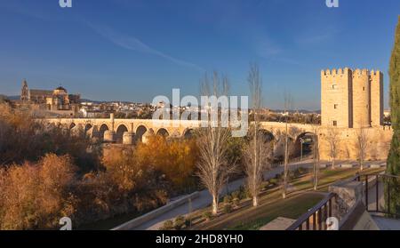 CORDOBA ANDALUSIEN SPANIEN HERBSTBÄUME DIE MOSCHEE KATHEDRALE UND DIE RÖMISCHE BRÜCKE ÜBER DEN GUADALQUIVIR FLUSS Stockfoto