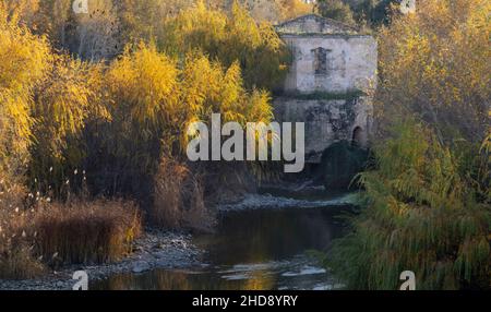 CORDOBA ANDALUCIA SPANIEN IM WINTER ANSICHT VON ALTEM HAUS UND BÄUMEN VON DER RÖMISCHEN BRÜCKE PUENTE ROMANO Stockfoto