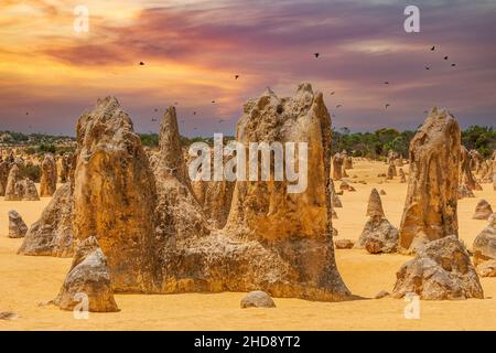 Die Pinnacles sind ein Wahrzeichen, das aus verwitterten Kalksteinsäulen besteht und in der Pinnacles-Wüste, einem Teil des Nambung-Nationalparks, zu sehen ist Stockfoto