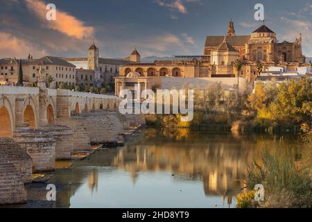 CORDOBA ANDALUCIA SPANIEN WINTERBÄUME DIE MOSCHEE KATHEDRALE UND DIE RÖMISCHE BRÜCKE ÜBER DEN GUADALQUIVIR FLUSS Stockfoto