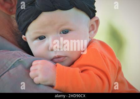 Ein einjähriges Kleinkind mit schwarzem Stirnband und orangefarbenem Halloween-Hemd, wobei sein Vater Kürbisse kauft Stockfoto