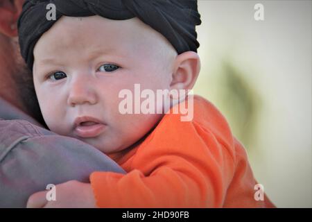 Ein einjähriges Kleinkind mit schwarzem Stirnband und orangefarbenem Halloween-Hemd, wobei sein Vater Kürbisse kauft Stockfoto