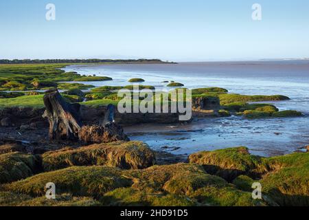 Bowness-on-Solway Blick nach Norden über den Solway Firth in Cumbria Stockfoto