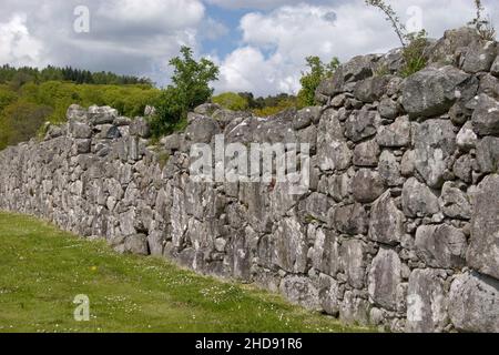 Trockensteinmauer umschließt Sweetheart Abbey, New Abbey, Dumfries & Galloway, Schottland Stockfoto