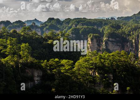 Landschaft des Zhangjiajie National Forest Park in der Provinz Hunan, China Stockfoto