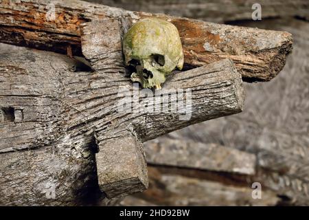 Alte Särge (Erong) und Schädel in der 700 Jahre alten Grabhöhle bei Lombock Parinding, in der Nähe von Rantepao. Lombok Parinding, Toraja, Süd-Sulawesi, Indonesien. Stockfoto