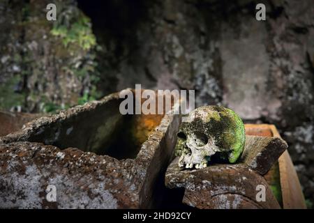 Alte Särge (Erong) und Schädel in der 700 Jahre alten Grabhöhle bei Lombock Parinding, in der Nähe von Rantepao. Lombok Parinding, Toraja, Süd-Sulawesi, Indonesien. Stockfoto