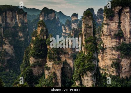 Felsformationen in Wulingyuan Scenic Area des Zhangjiajie Forest Park, China Stockfoto