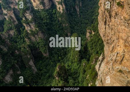 Felsformationen von Wulingyuan Scenic and Historic Interest Area im Zhangjiajie National Forest Park in der Provinz Hunan, China Stockfoto