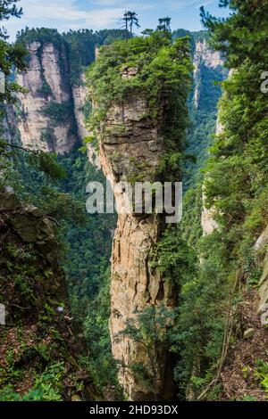 Felssäule in Wulingyuan Scenic and Historic Interest Area im Zhangjiajie National Forest Park in der Provinz Hunan, China Stockfoto