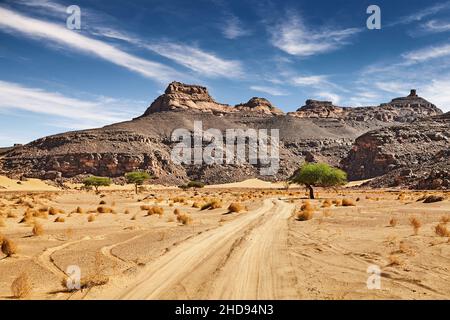 Straße in der Sahara-Wüste, Algerien Stockfoto