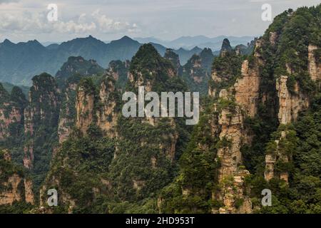 Felsformationen in Wulingyuan Scenic and Historic Interest Area im Zhangjiajie National Forest Park in der Provinz Hunan, China Stockfoto