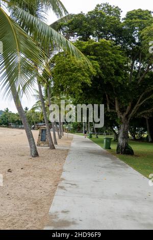 Airlie Beach, Queensland, Australien - 2022. Januar: Weibliche Fußgänger gehen auf einem Betonpfad am Strand und Meer entlang in einer Touristenstadt Stockfoto