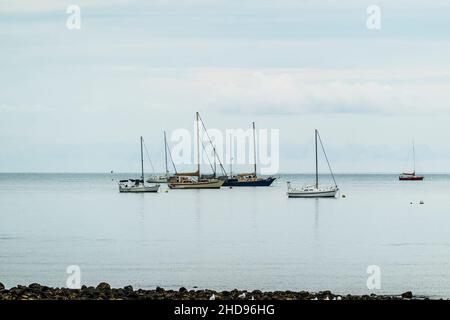 Airlie Beach, Queensland, Australien - Januar 2022: Yachten mit Segeln vor felsigen Stränden vor Bojen vor Anker Stockfoto