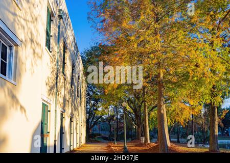 Blick am Nachmittag auf den Louis Armstrong Park in New Orleans, Louisiana Stockfoto