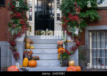 Blick auf einen Eingang zum Apartmentgebäude. Stoop mit Pflanzen, Blumen und Kürbissen für Thanksgiving Holiday Stockfoto