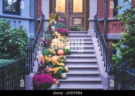 Blick auf einen Eingang zum Apartmentgebäude. Stoop mit Pflanzen, Blumen und Kürbissen für Thanksgiving Holiday Stockfoto