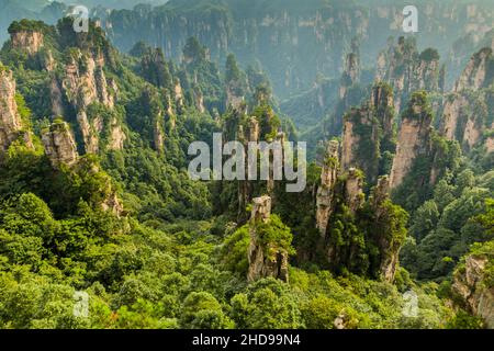 Felsformationen in Wulingyuan Scenic Area des Zhangjiajie Forest Park, China Stockfoto