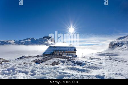 Schneelandschaft während der Wintersaison auf den dolomiten in Trentino-Südtirol mit Rosetta Hütte - Pale di San Martino bei San Martino di Castrozza Stockfoto