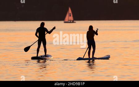 Berlin, Deutschland. 14th September 2021. 14.09.2021, Berlin. Ein Mann und eine Frau paddeln auf ihren Stand Up Paddle Boards (SUP) im Licht der sinkenden Abendsonne am Wannnsee über die Wasseroberfläche. Hinter ihnen segelt ein kleines Boot. Quelle: Wolfram Steinberg/dpa Quelle: Wolfram Steinberg/dpa/Alamy Live News Stockfoto