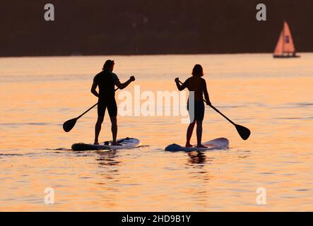 Berlin, Deutschland. 14th September 2021. 14.09.2021, Berlin. Ein Mann und eine Frau paddeln auf ihren Stand Up Paddle Boards (SUP) im Licht der sinkenden Abendsonne am Wannnsee über die Wasseroberfläche. Hinter ihnen segelt ein kleines Boot. Quelle: Wolfram Steinberg/dpa Quelle: Wolfram Steinberg/dpa/Alamy Live News Stockfoto