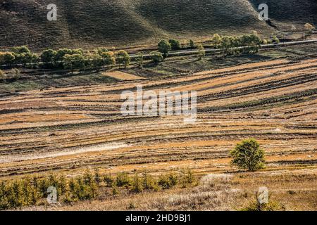 Luftaufnahme von Getreidefeldern mit Bäumen umgeben von Bergen Stockfoto
