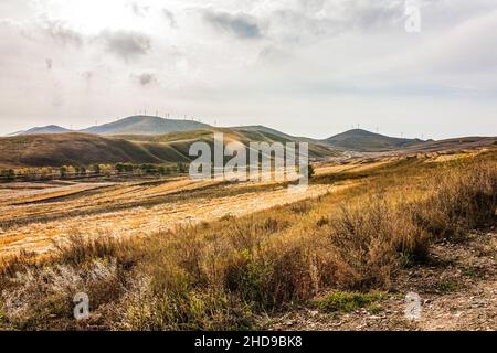 Getreidefelder mit Bäumen umgeben von Bergen Stockfoto