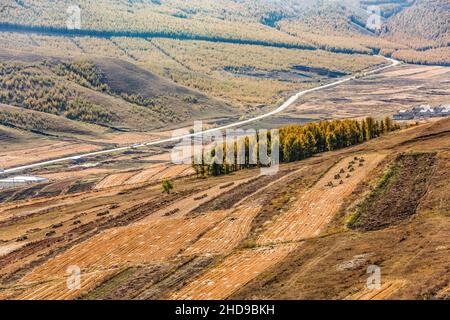 Straße zwischen goldenen Feldern umgeben von Bergen unter einem wolkigen Himmel Stockfoto