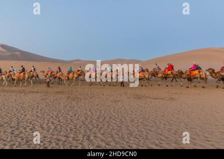 DUNHUANG, CHINA - 21. AUGUST 2018: Kamelsafari in der Singing Sands Dune in der Nähe von Dunhuang, Provinz Gansu, China Stockfoto