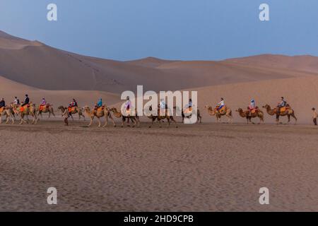 DUNHUANG, CHINA - 21. AUGUST 2018: Kamelsafari in der Singing Sands Dune in der Nähe von Dunhuang, Provinz Gansu, China Stockfoto