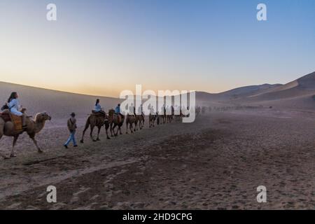 DUNHUANG, CHINA - 21. AUGUST 2018: Touristen reiten auf Kamelen in der Singing Sands Dune in der Nähe von Dunhuang, Provinz Gansu, China Stockfoto