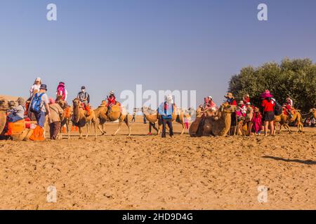 DUNHUANG, CHINA - 21. AUGUST 2018: Touristen reiten auf Kamelen in der Singing Sands Dune in der Nähe von Dunhuang, Provinz Gansu, China Stockfoto