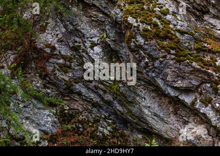 Schöne Erkundungstour durch die Berge in der Schweiz. Stockfoto