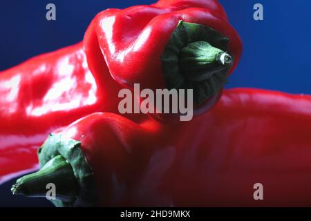 Nahaufnahme von zwei roten Paprika übereinander mit blauem Hintergrund platziert Stockfoto