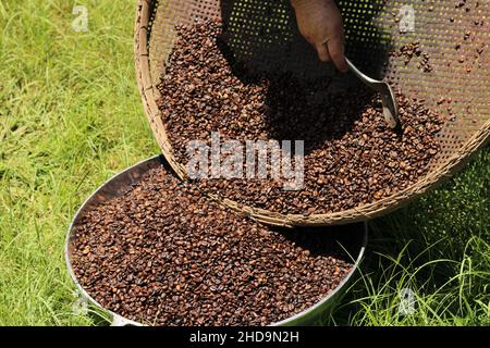 Nahaufnahme des handwerklich gerösteten Kaffees in einer großen Schüssel Stockfoto