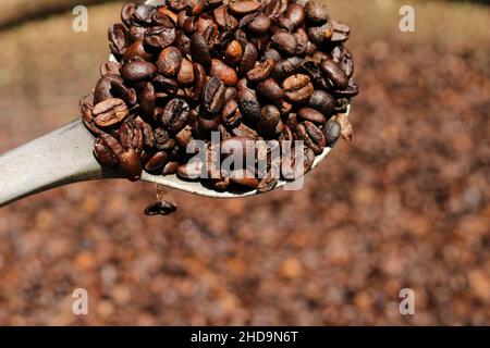 Nahaufnahme des handwerklich gerösteten Kaffees in einem großen Löffel Stockfoto