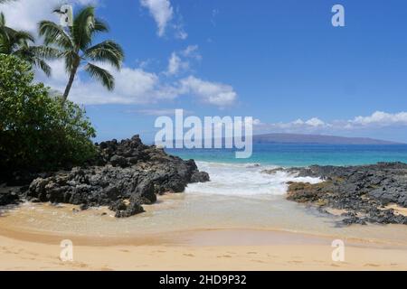 Wunderschöner abgelegener Strand auf Maui Hawaii mit einer Insel im Hintergrund und einer Palme und Lavafelsen im Vordergrund. Stockfoto