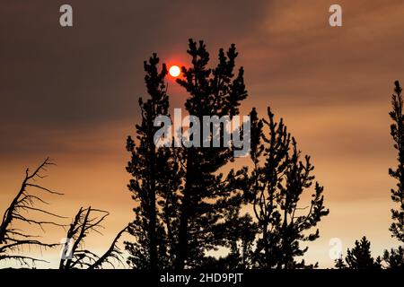 WA19982-00...WASHINGTON - Eine Wolke aus Waldbrandrauch bedeckt die Sonne aus der Mount Adams Wilderness Area. Stockfoto