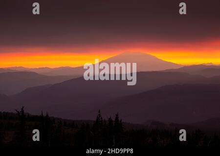 WA1998-00...WASHINGTON - Rollende Grate zum Mount St. Helens vom Mount Adam's High Camp aus betrachtet, als die Sonne durch Rauchwolken untergeht. Stockfoto